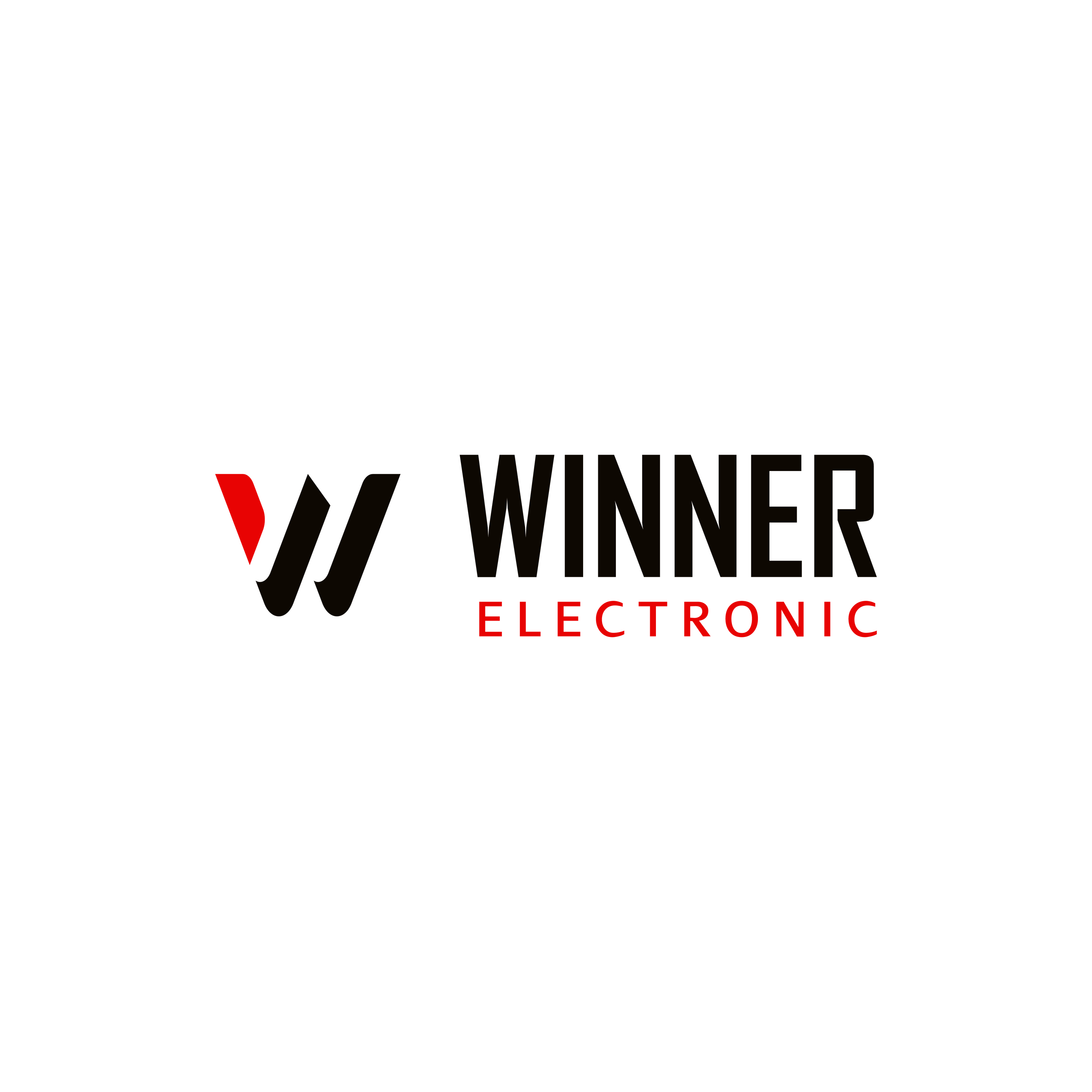PNG-logo Winner Electronic-02 (1)